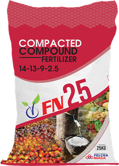 Compacted Compound Fertilizer Baja Sebatian FN 25