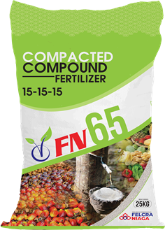 Compacted Compound Fertilizer Baja Sebatian FN 65